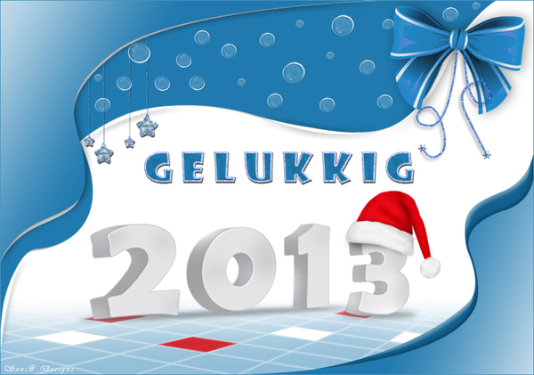 nieuwjaarkaartje 2013