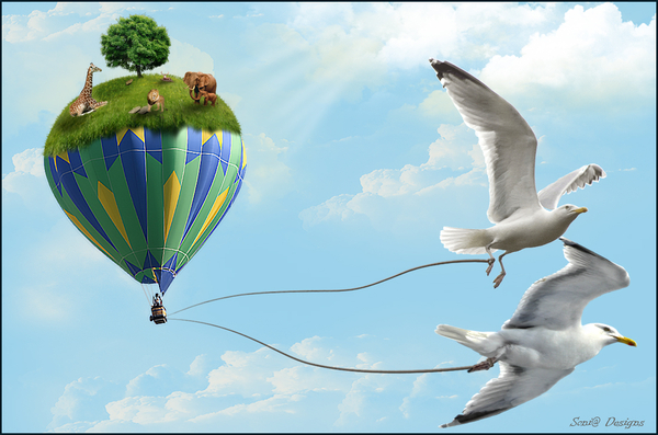 luchtballon