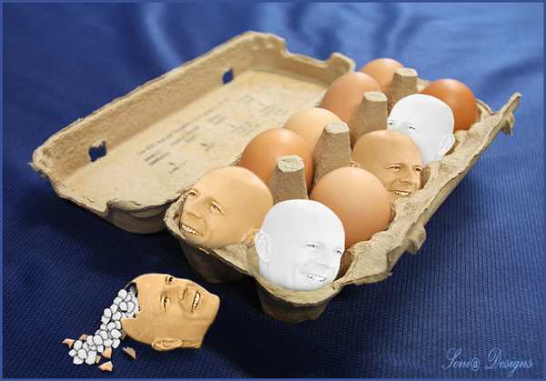 Eierdoos met witte en bruine kopjes1