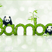 bamboe letters