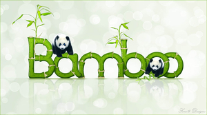 bamboe letters