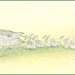 tekening  1117