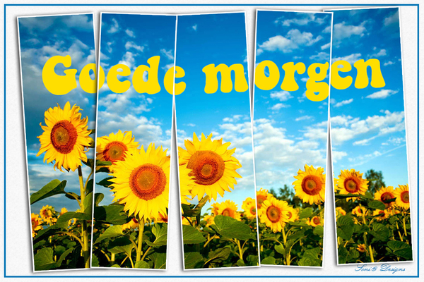 goede morgen
