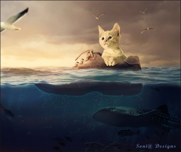 onder water scne