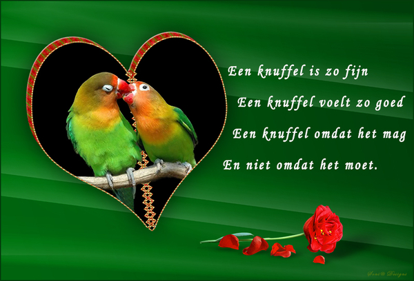 knuffel kaartje 2