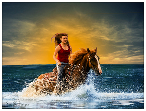 paard in zee