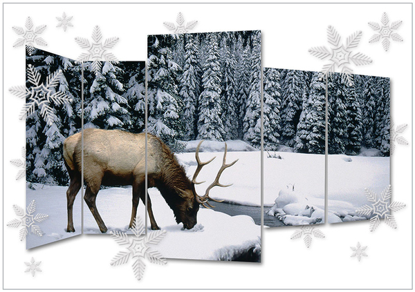 december-kalender-project