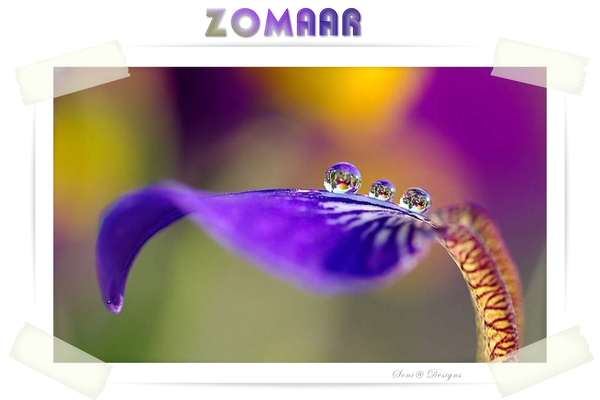 zomaar
