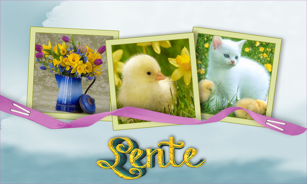 3kaders met lint
