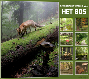 het bos