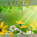 lente 1