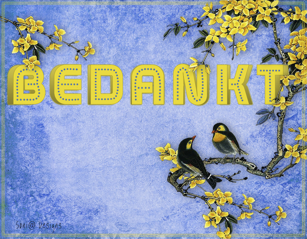 bolletjes tekst 1jpg