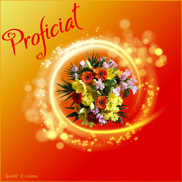 proficiat