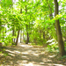 wandeling fort 4 Mortsel - sept. 08