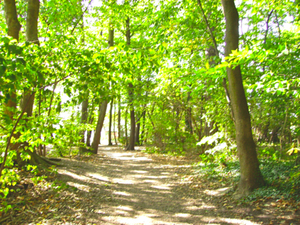 wandeling fort 4 Mortsel - sept. 08