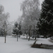 sneeuw in Arcen - 1