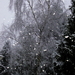 sneeuw in Arcen - 2