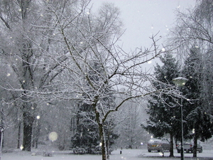 sneeuw in Arcen - 3