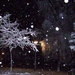 sprookjesnacht in Arcen