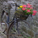 nostalgische fiets