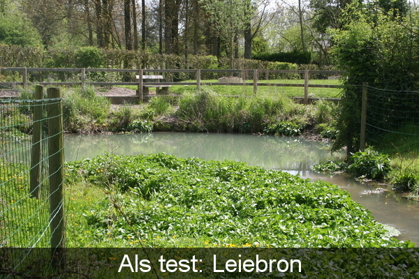 Leie