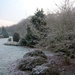 Tuin 1