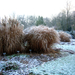 Tuin 2