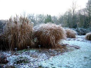Tuin 2