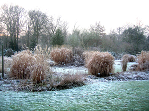 Tuin 3