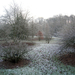 Tuin 4