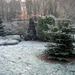 Tuin 5
