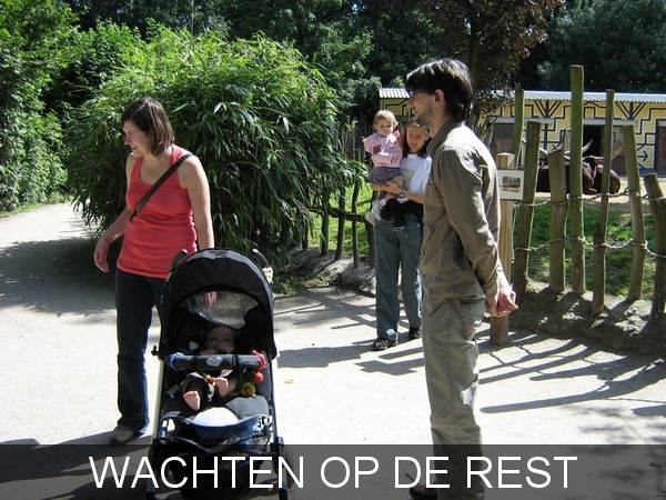 PLANCKENDAEL     2008