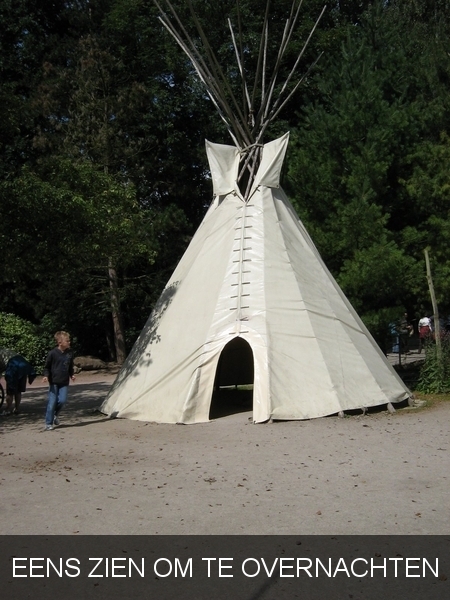PLANCKENDAEL     2008