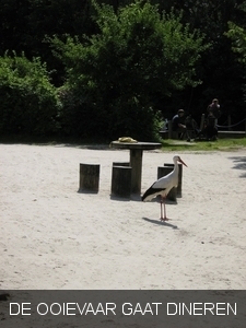 PLANCKENDAEL    2008