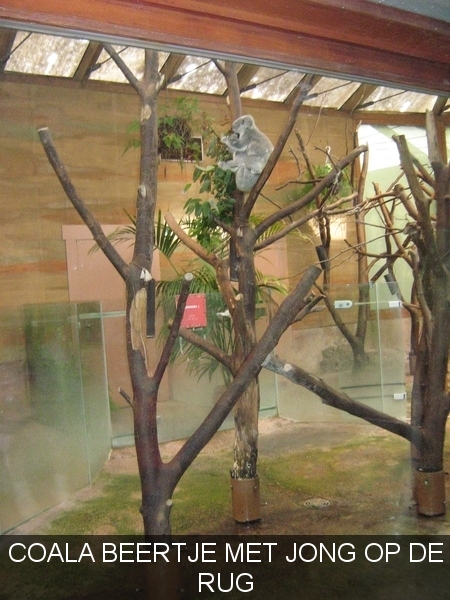 PLANKENDAEL     2008