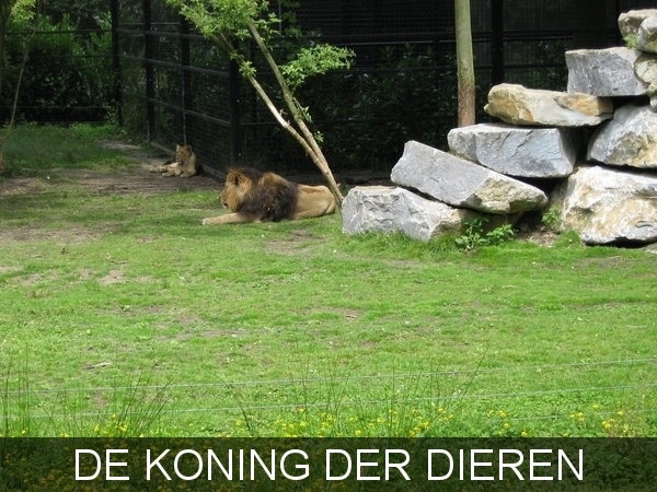 PLANCKENDAEL      2008