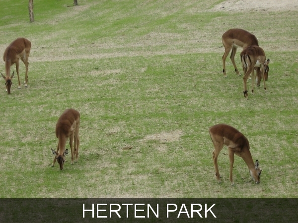 PLANCKENDAEL       2008