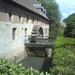 LIERMOLEN