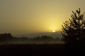 zonsopgang hoge kempen