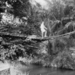 1952: Kimpese, brug over de Mpese