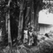 1953: 5 bomen en 5 vrouwen