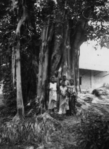 1953: 5 bomen en 5 vrouwen