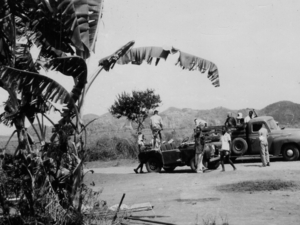 1953: terr. Ngungu