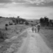 RWANDA  1959 : nabij Butare, weg naar Cyangugu