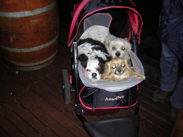 KERST 2008  DUITSLAND 064