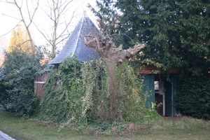 abdij vlierbeek