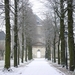 abdij vlierbeek