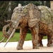 olifant