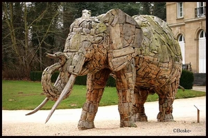 olifant