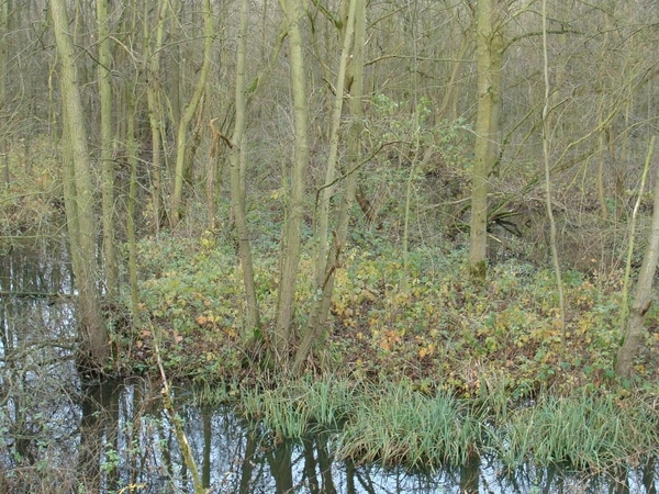 DSC01255
